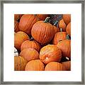 Pumpkin Patch Piles Framed Print