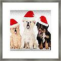 Puppy Christmas Choir Framed Print