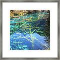 Pure Transparency Framed Print