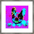 Purple Dog Framed Print