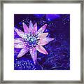 Purple Flower Art Framed Print