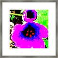 Purple Flower Pop Framed Print