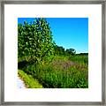 Purple Flowers By The Trail - Square Framed Print