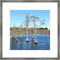 Putting Their Best Trunks Forward Framed Print