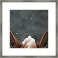 Quiet #3 Framed Print