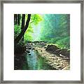 Quiet Cove Framed Print