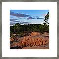 Quiet Pine Trees At Twilight In Algarve Framed Print