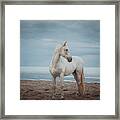 Quiet Storm - Horse Art Framed Print