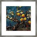 Quince Tree Framed Print