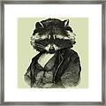 Raccoon Gentleman Framed Print