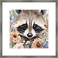 Raccoon Framed Print