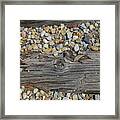 Railroad Track Framed Print