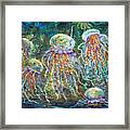 Rainbow Jellyfish Framed Print