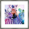 Rainbow Zebra's Framed Print