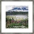 Rainy Day At Mt. Rainier Framed Print