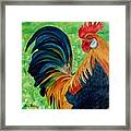 Rakish Redhead Framed Print