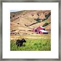 Ranch On Hick's Valley Road Framed Print