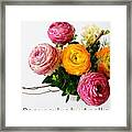 Ranunculus Framed Print