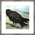 Raven Raven Framed Print