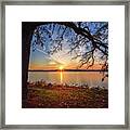 Reaching Out  - Oak Tree Reaching Over Lake Waubesa In Autumn Sunset Framed Print