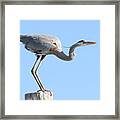 Ready To Take Off Framed Print