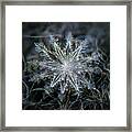 Real Snowflake 2014-01-26_5568-76_electra Framed Print
