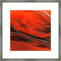 Red Abstract Wavy Organza Fabric Framed Print