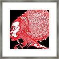 Red Afro Puff Framed Print