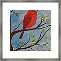 Red Bird Framed Print