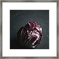 Red Cabbage Framed Print