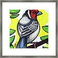 Red Crested Cardinal Framed Print