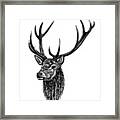 Red Deer Stag Framed Print