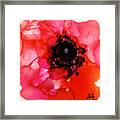 Red Hot Poppy Framed Print