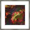 Red Maple Abstract Framed Print