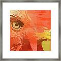 Red Rooster In Abstract Framed Print