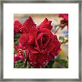 Red Rose And Sparkling Water Pearls By The Pool Framed Print