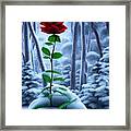 Red Rose In The Snow Framed Print