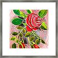 Red Rose Watercolor Mixed Medium Framed Print