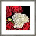 Red Roses And White Hydrangea Framed Print