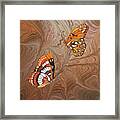 Red Sandstone And Ca Butterflies Framed Print