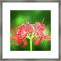 Red Spider Lily In Rain Framed Print