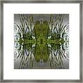 Reed Leaves, Water And Symmetry 3 Framed Print