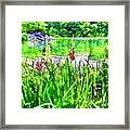 Reeds And Flowers By The Pond Framed Print