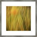 Reeds And Weeds Framed Print