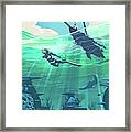 Reef Diver Framed Print