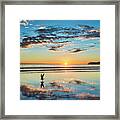 Bird Flight #1 Framed Print