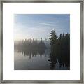 Reflection Of Tree In A Lake Framed Print