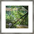 Reflection Of Trees In Calm Water Framed Print