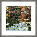 Reflections And Lilypads Framed Print