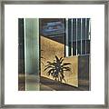 Reflections And Shadows Framed Print